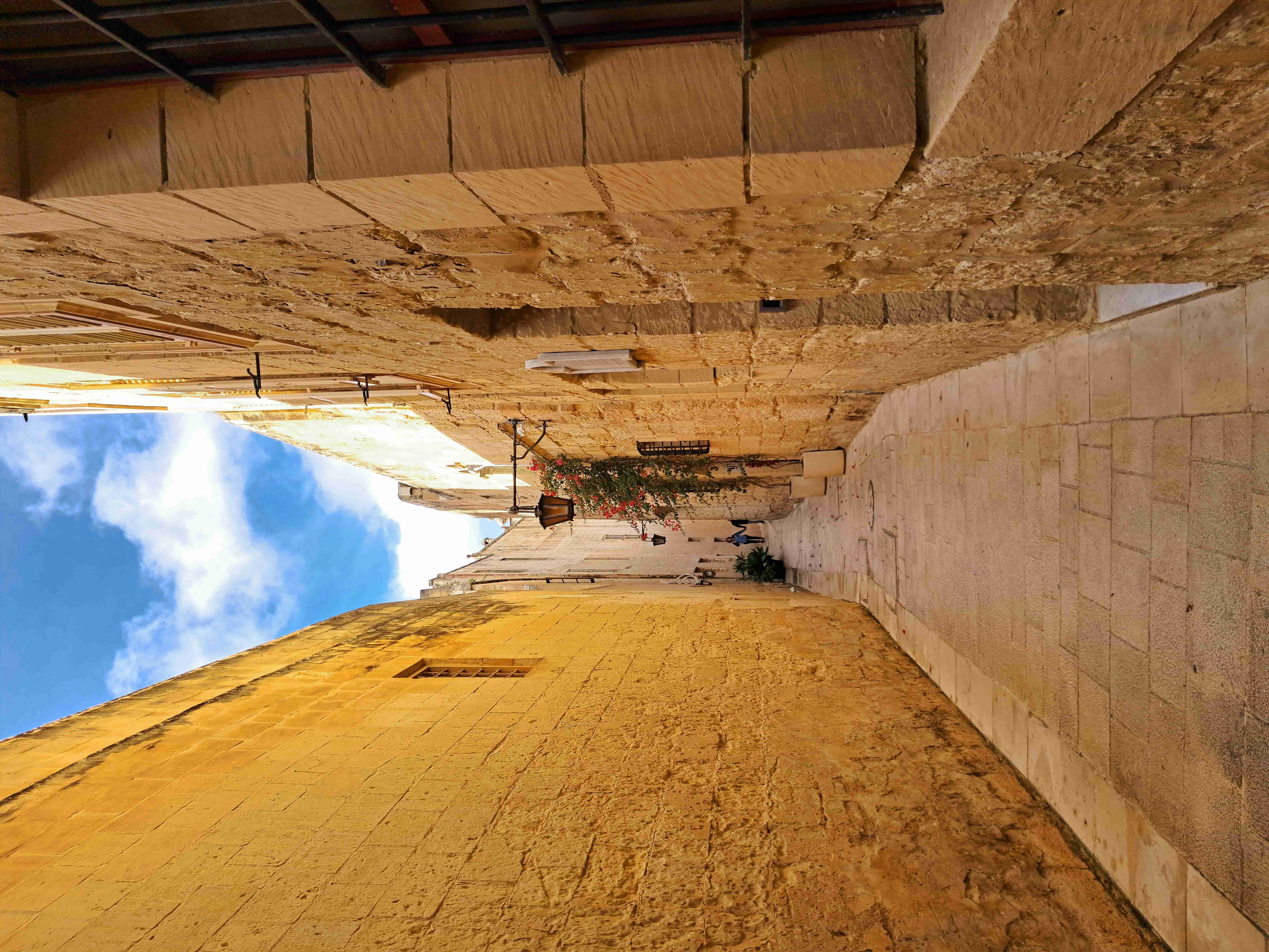 Featured image of post The old city of Mdina