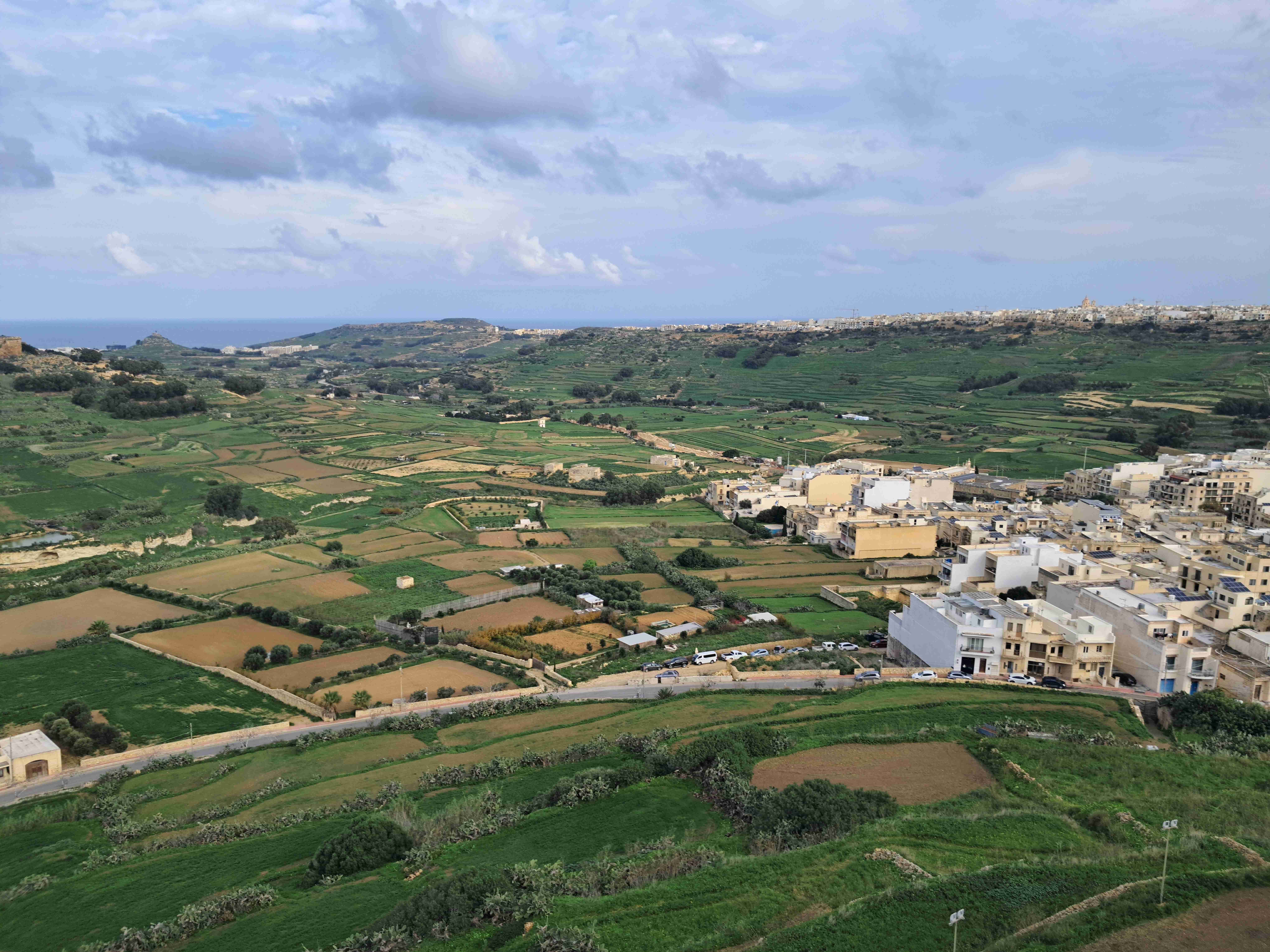 Featured image of post The nature and flora of Malta